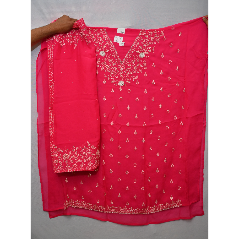 Partywear Punjabi Suit 