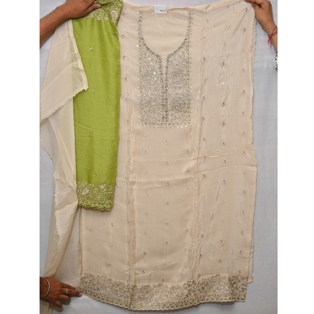 Partywear Punjabi suit